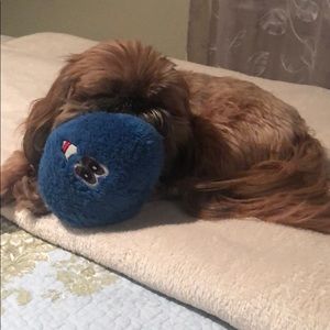 Meet your Posher, Rebecca